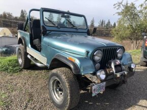 1976 Toyota Land Cruiser for sale 101695174